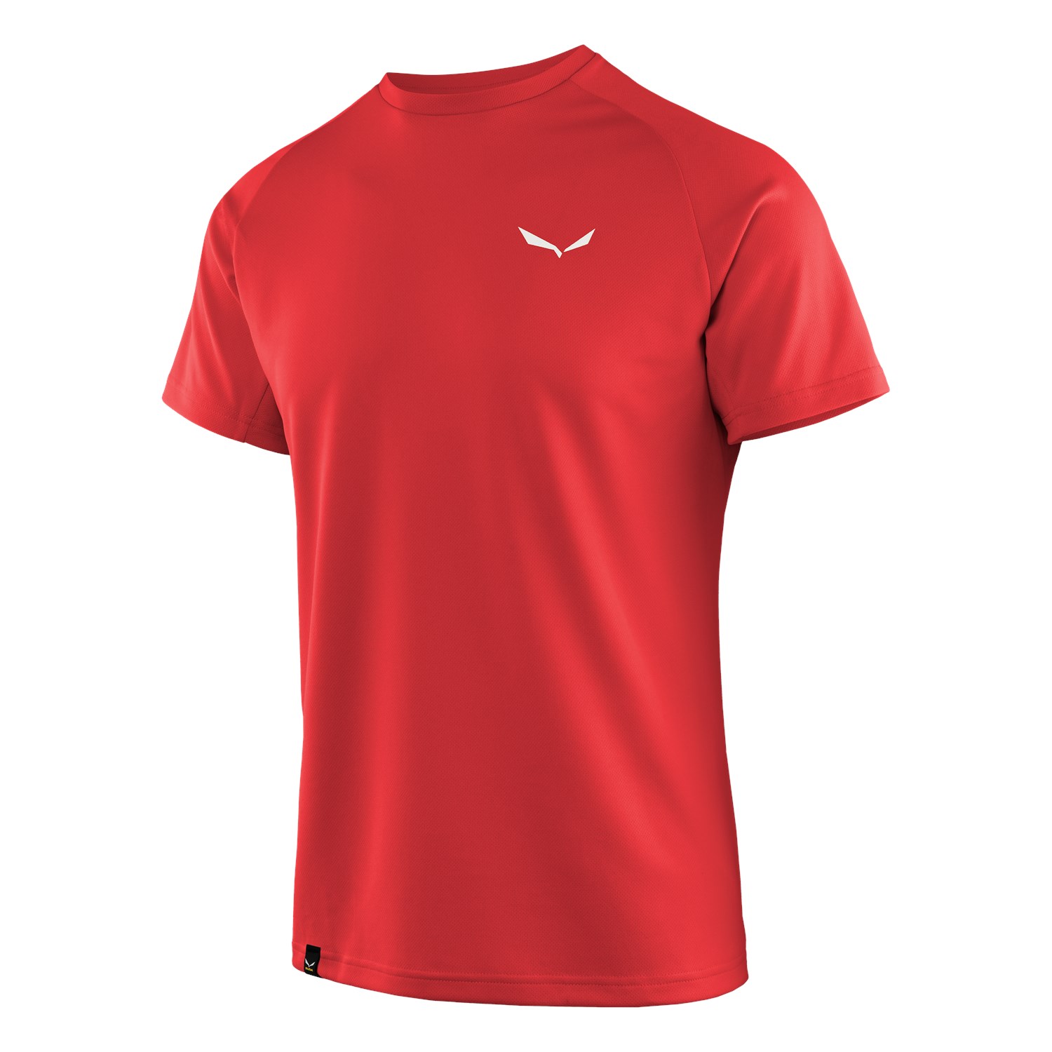 Salewa Sporty B 3 Dry Erkek T-Shirts Kırmızı Türkiye 045169ITF